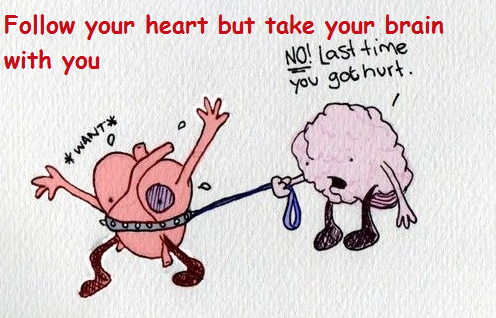 INSPIRATION FOLLOW YOUR HEART BUT TAKE YOUR BRAIN WITH YOU CARTOON.png